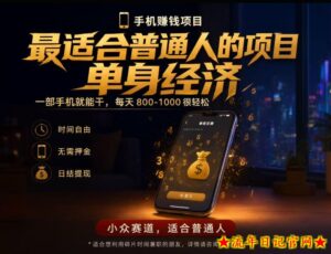 单身经济小众赛道，每天800-1000，一部手机就能干，最适合普通人的项目【揭秘】-流年日记
