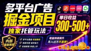 多平台广告掘金项目，独家托管玩法，一天300-500+，内部最新教程【揭秘】-流年日记