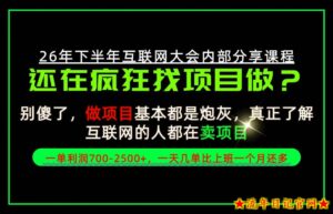 请不要再疯狂的找项目了！卖项目一单700-2.5k+不香吗？当天上手，当天变现！【揭秘】-流年日记