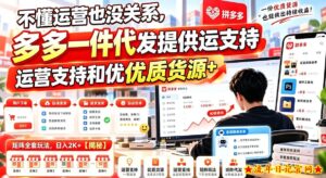 不懂运营也没关系，多多一件代发提供运营支持和优质货源，矩阵全套玩法，日入2K+【揭秘】-流年日记