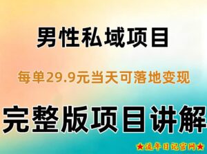 男性私域项目每单29.9，当天就能落地变现【不是S粉项目】详细拆解-流年日记