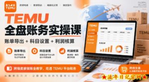 TEMU全盘账务实操课｜账单导出+科目设置+利润核算，跨境卖家做账全教学，吃透TEMU平台账务-流年日记