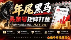 【年尾黑马】头条号矩阵打金,自用代运营双模式,月入1-3w,附全套教程及内部工具【揭秘】-流年日记