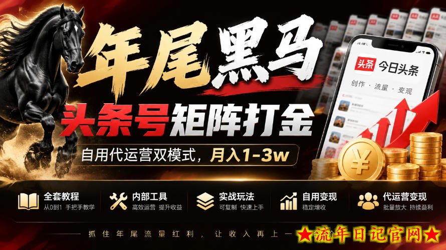 【年尾黑马】头条号矩阵打金,自用代运营双模式,月入1-3w,附全套教程及内部工具【揭秘】-流年日记
