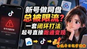 小白新号过限流：别发链先养号，12步SOP直接抄-流年日记