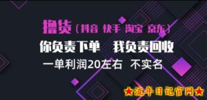 抖音淘宝快手买手项目，一单利润20左右，单号每天下三单，可矩阵【揭秘】-流年日记