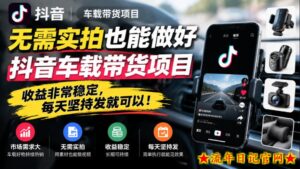 无需实拍也能做好抖音车载带货项目，收益非常稳定，每天坚持发就可以！-流年日记