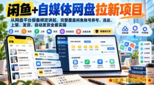 闲鱼+自媒体网盘拉新项目,从网盘平台报备绑定讲起,完整覆盖闲鱼账号养号、选品、上架、发货、自动发货全套实操-流年日记