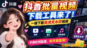 抖音批量视频下载工具,一键下载高清无水印视频,到手就能用-流年日记