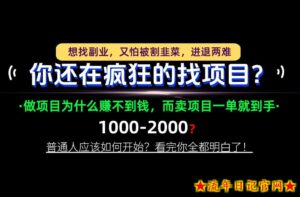你还在疯狂的找项目？别傻了！卖项目才是真正的一本万利！怎么做，看完你全都明白！【揭秘】-流年日记