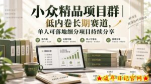 小众精品项目群|低内卷长期赛道,单人可落地细分项目持续分享-流年日记