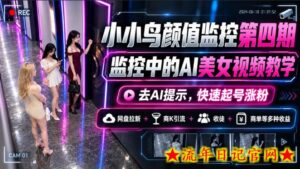 小小鸟颜值监控第四期，监控中的AI美女视频教学，去AI提示，快速起号涨粉，网盘拉新+商K引流+收徒+商单等多种收益-流年日记